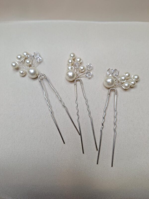 ARP649 Adore Hair Pins